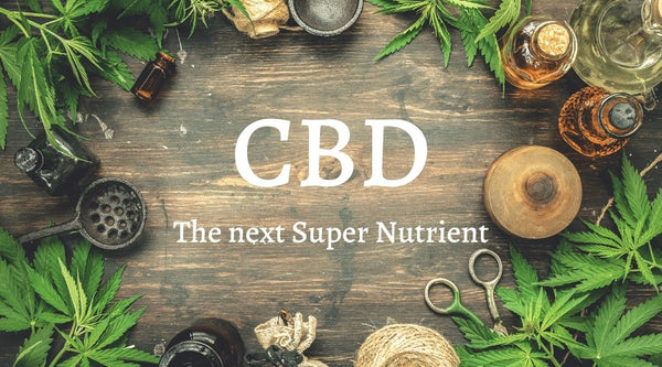 CBD: The next Super Nutrient - Henotic Hemp
